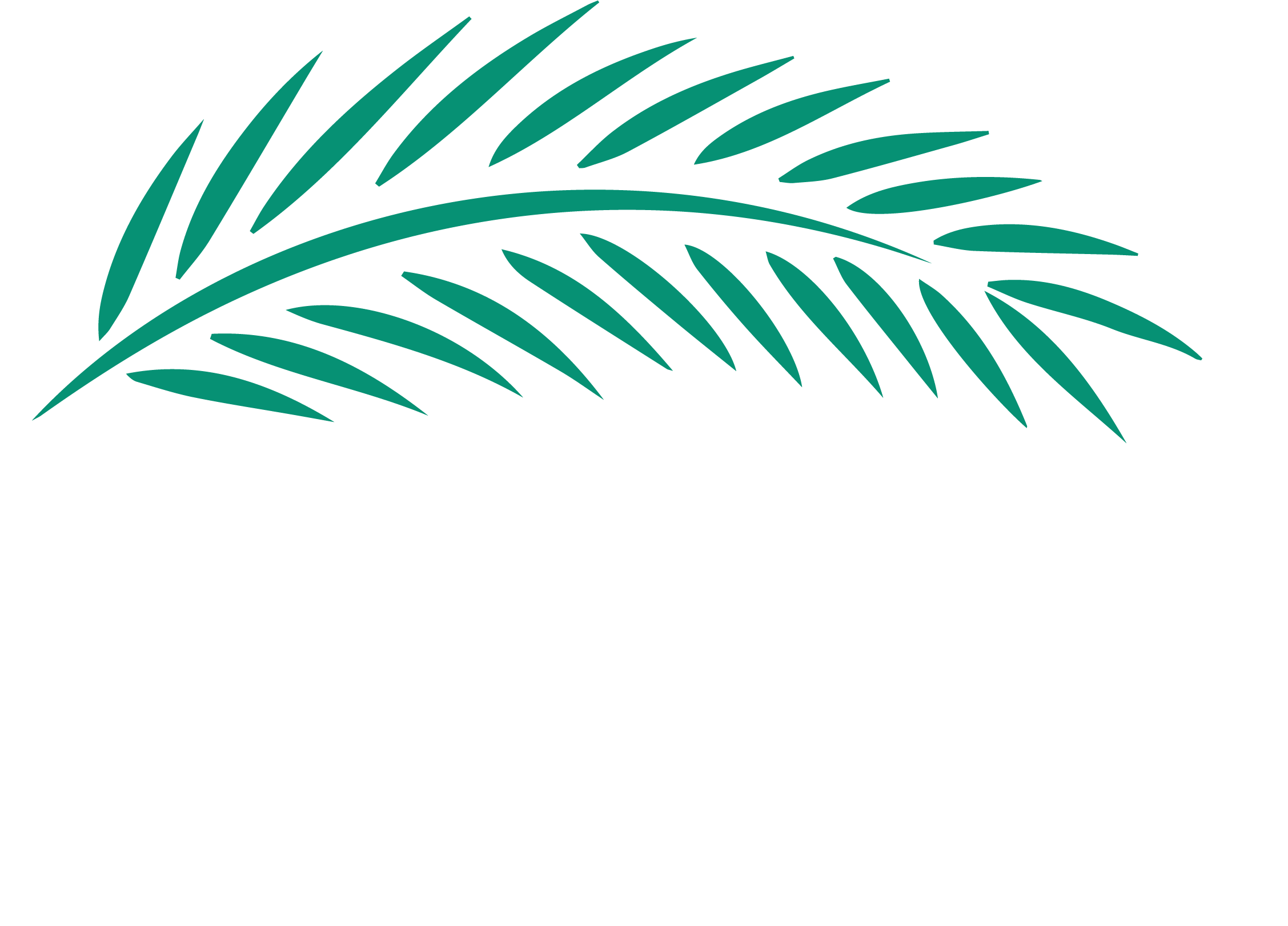 Primary image (AI selected)