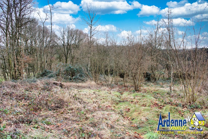 Primary image (AI selected)