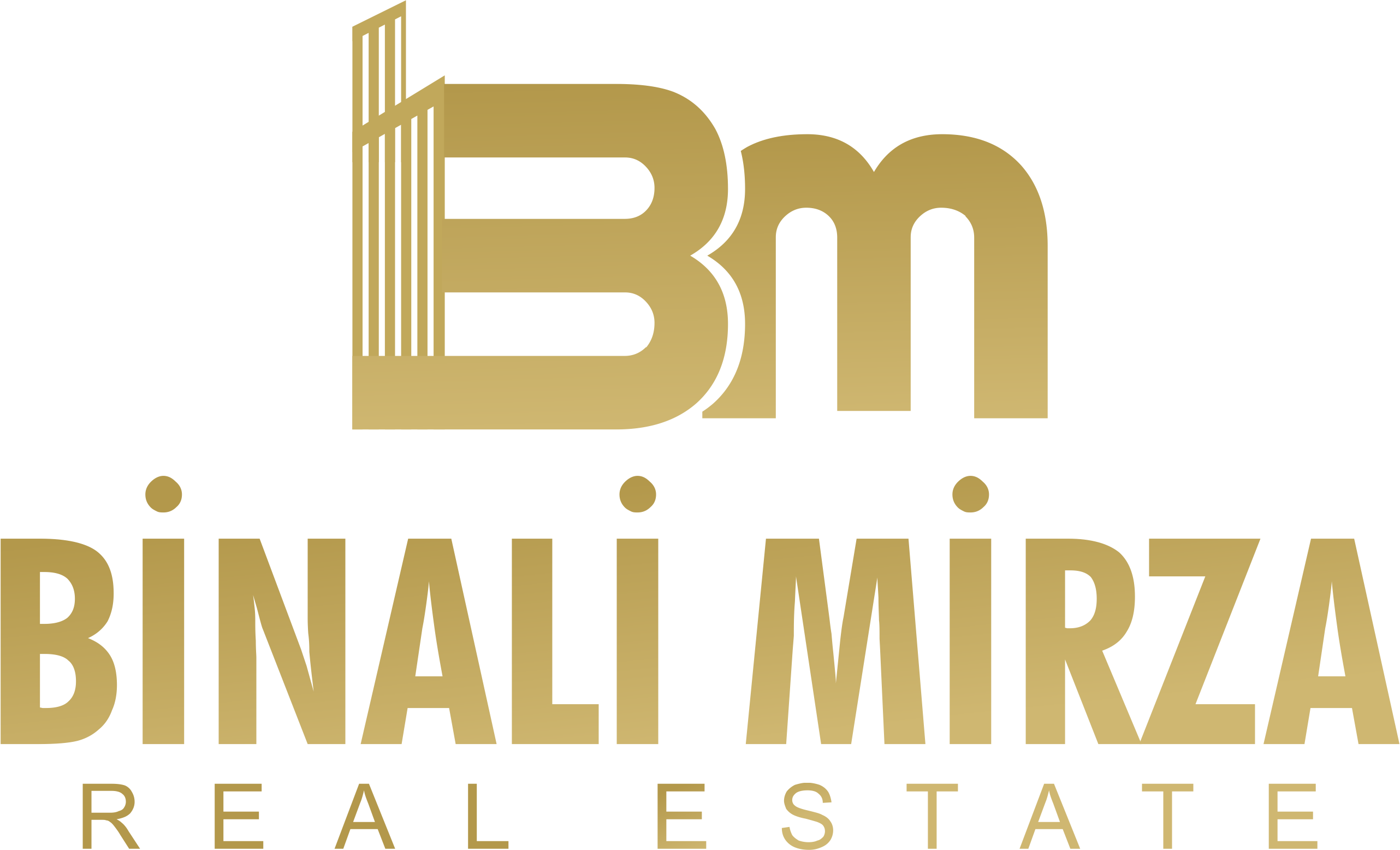 BİNALİ MİRZA REAL ESTATE - 1