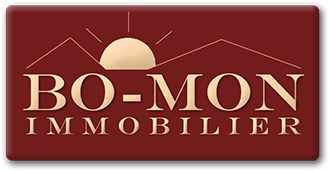 Primary image (AI selected)