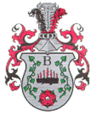 Primary image (AI selected)