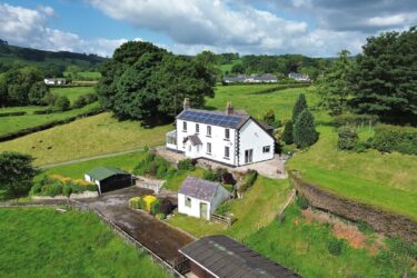 Primary image (AI selected)