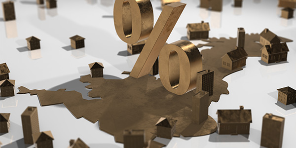 Primary image (AI selected)