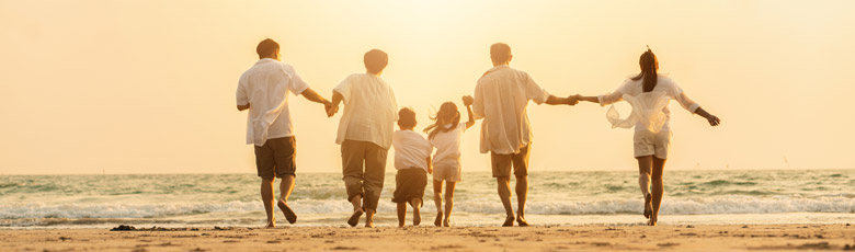 de Haas & Partner - 1