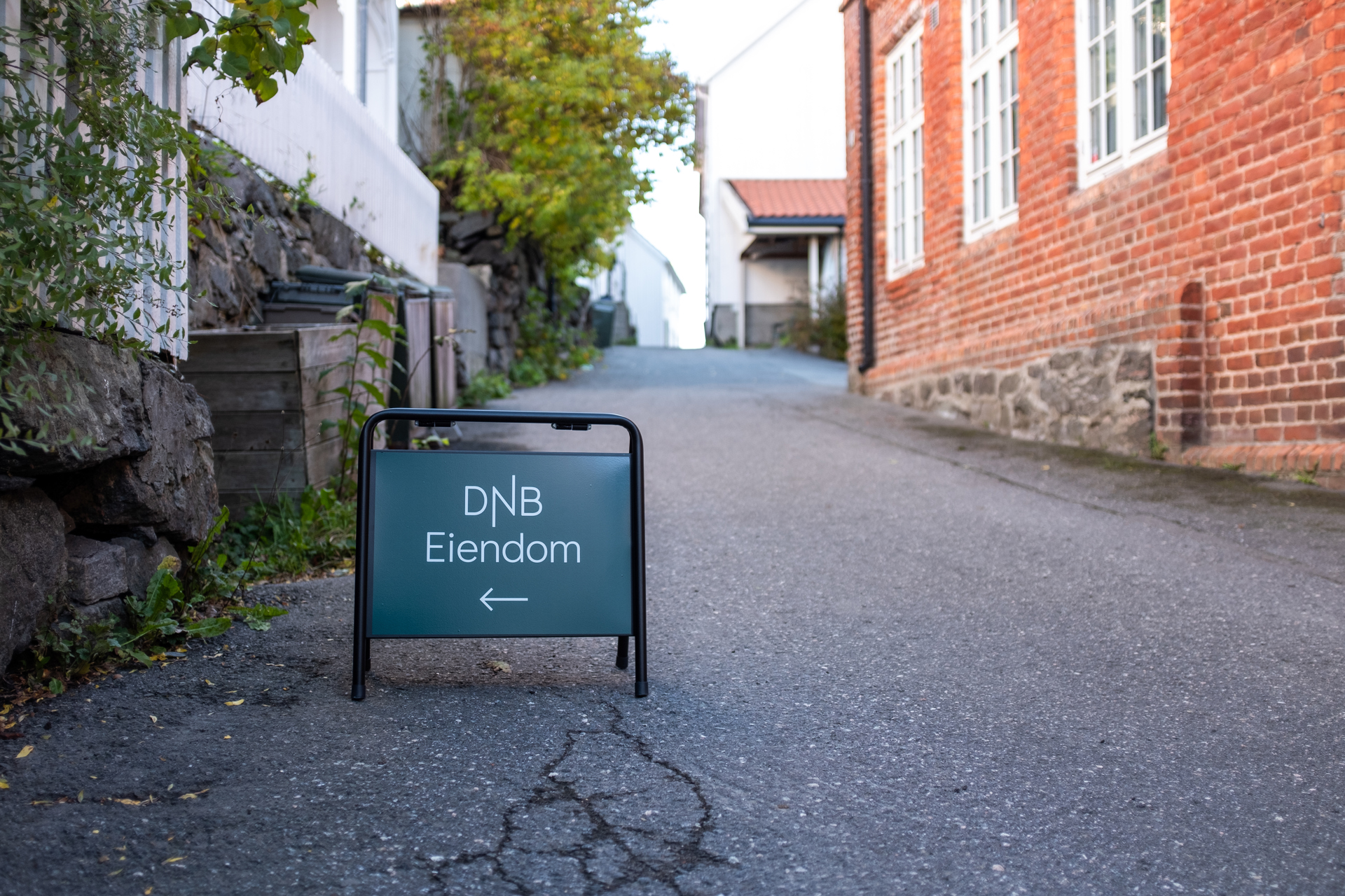 Primary image (AI selected)