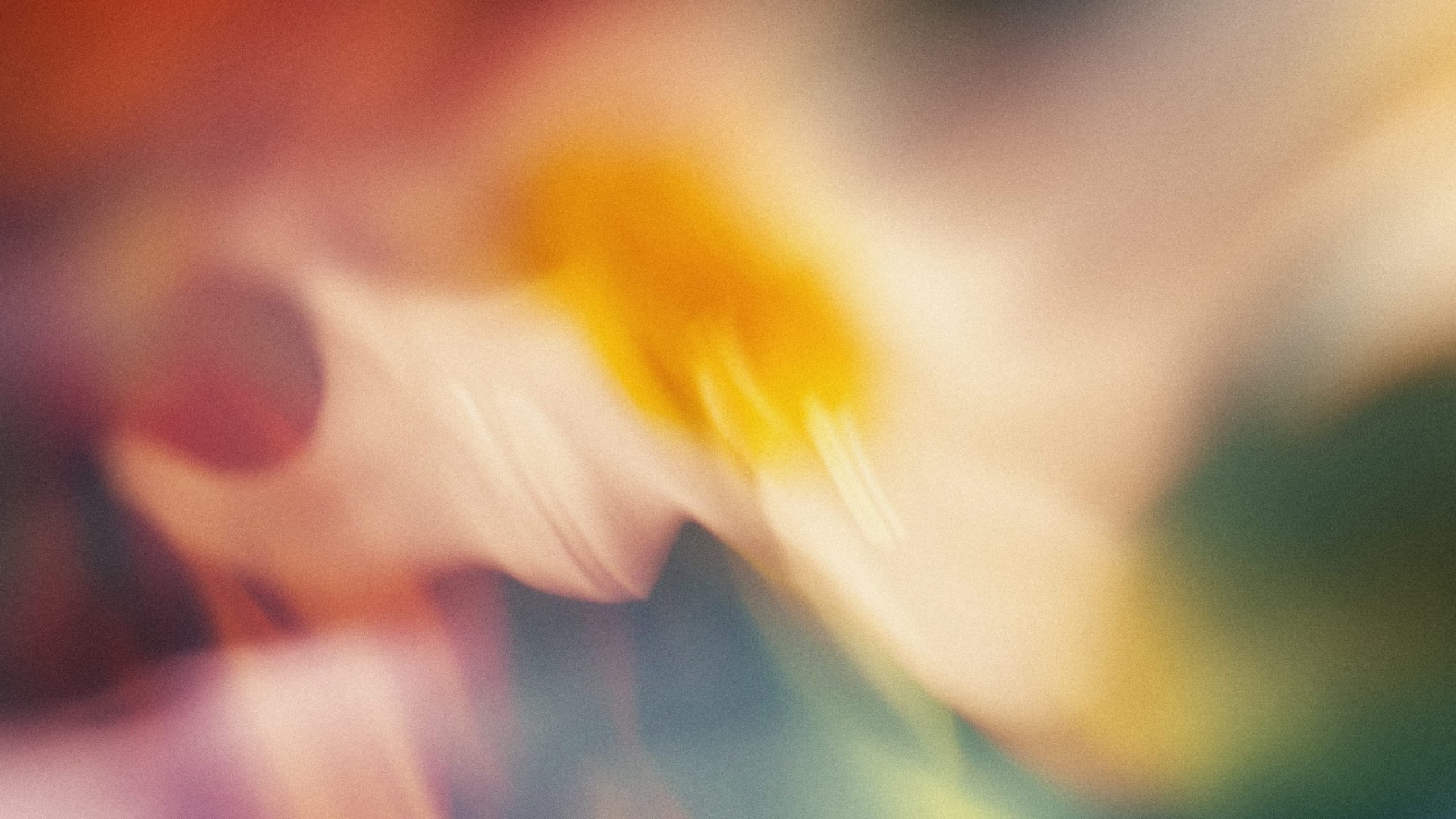 Primary image (AI selected)