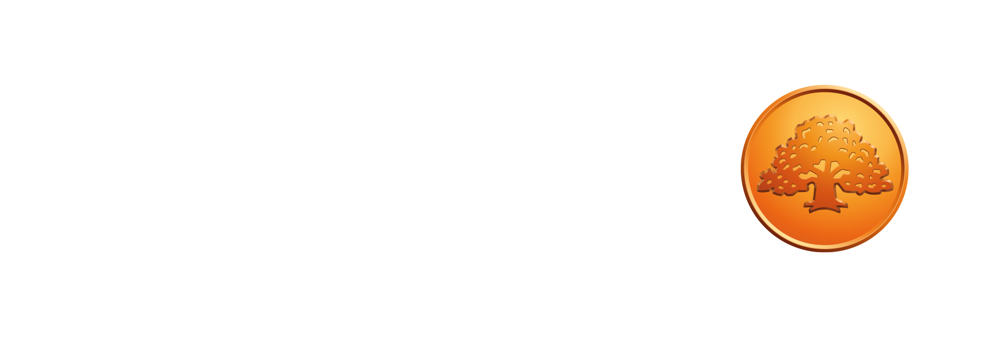 Primary image (AI selected)