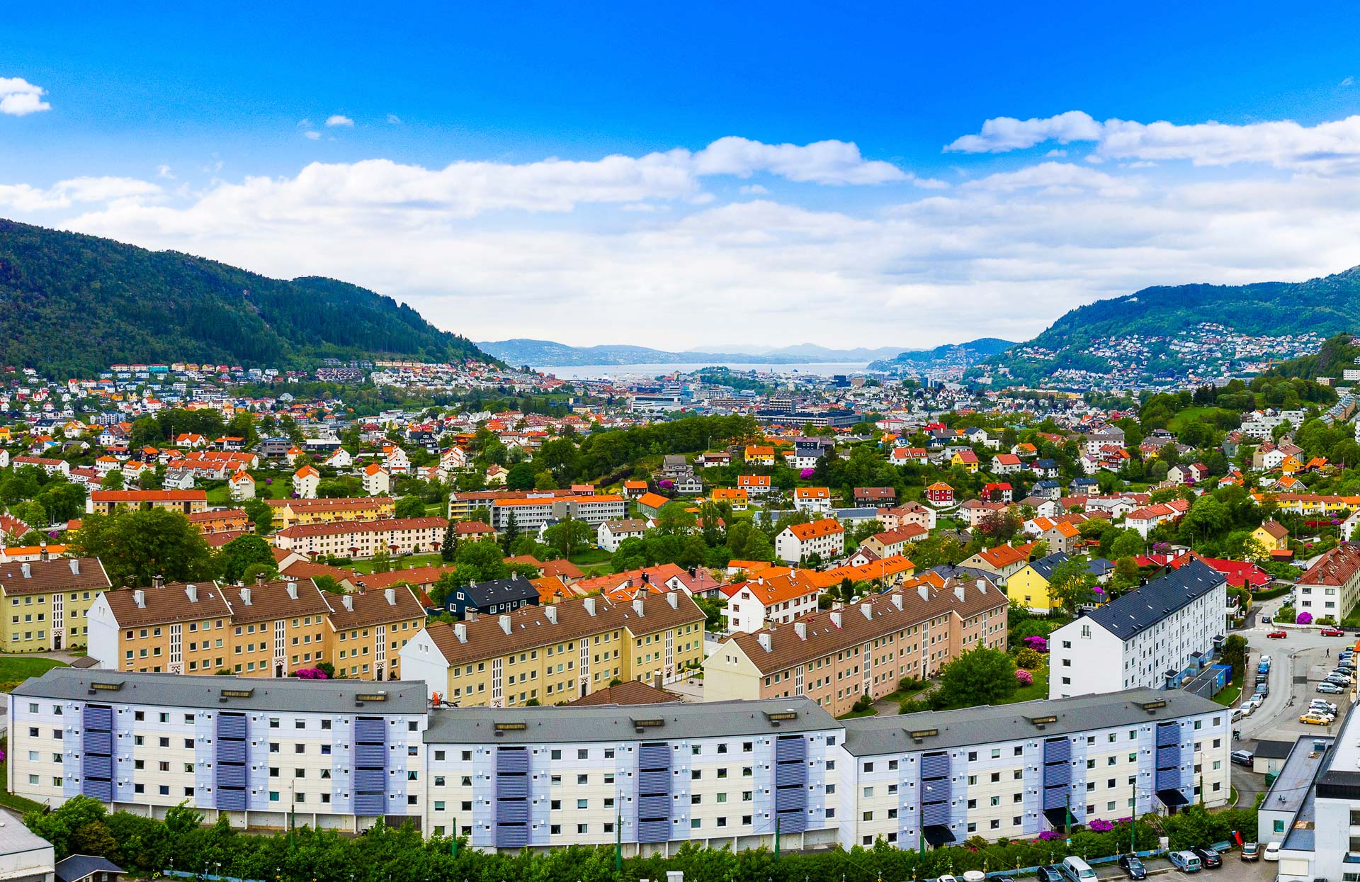 Primary image (AI selected)