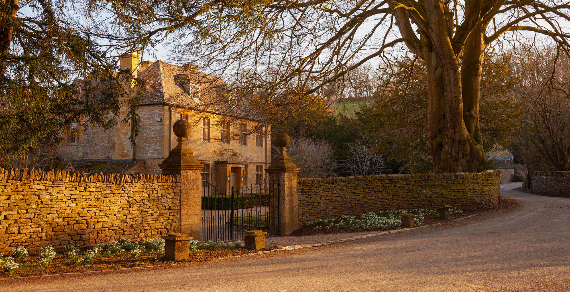 Primary image (AI selected)