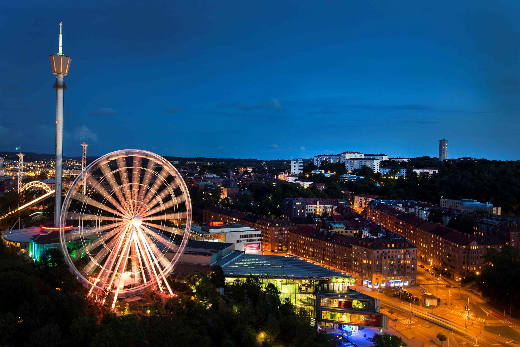 Primary image (AI selected)