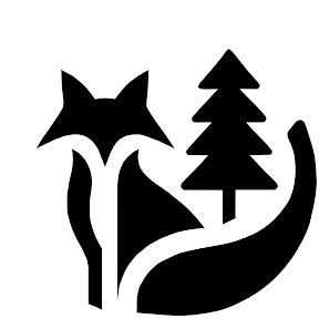 Primary image (AI selected)