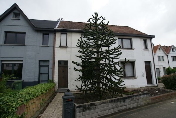 Primary image (AI selected)