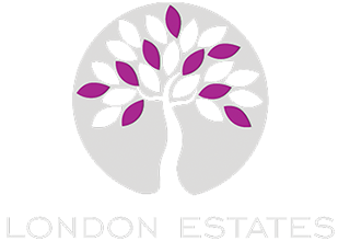 Primary image (AI selected)