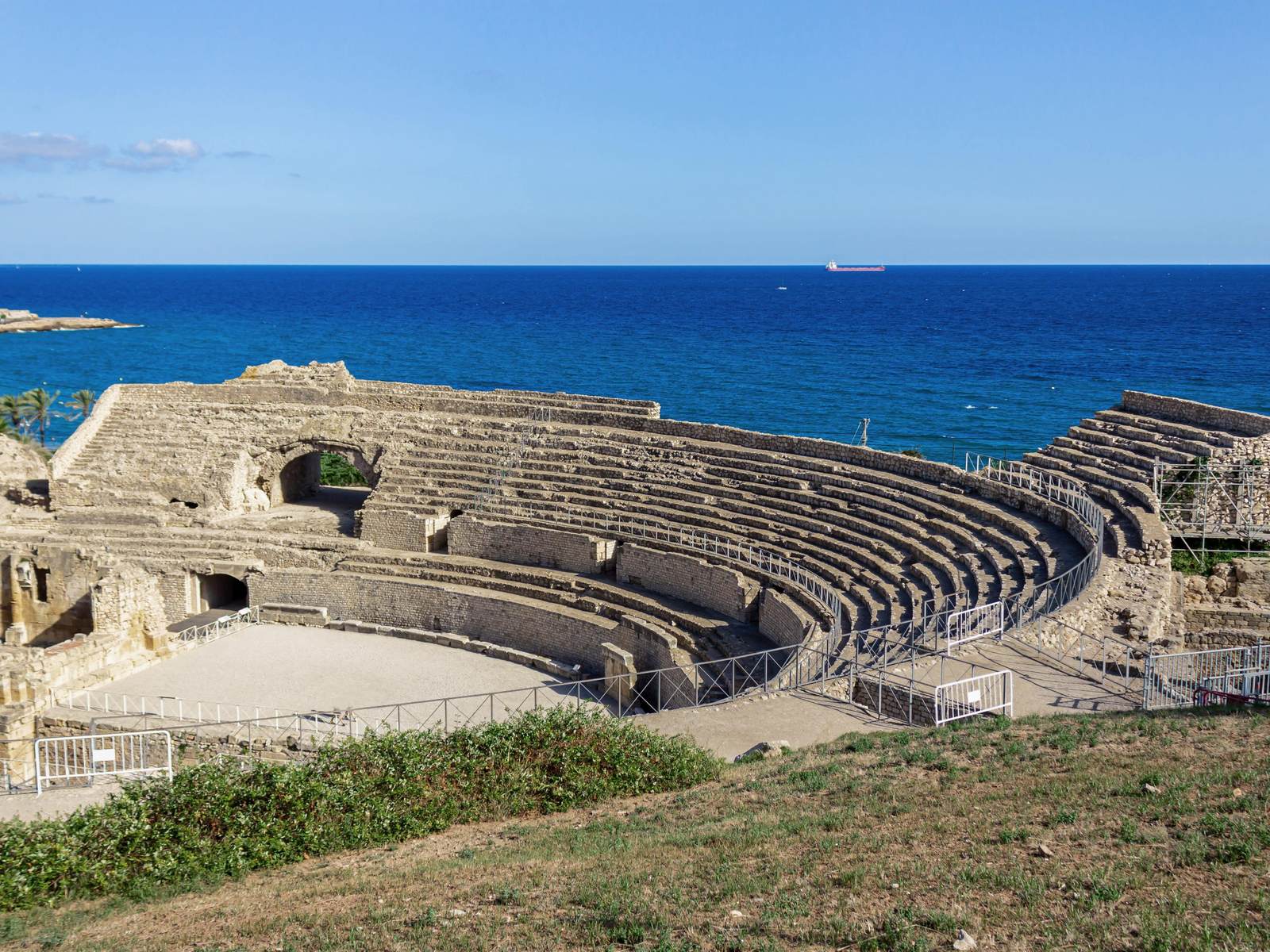 Primary image (AI selected)