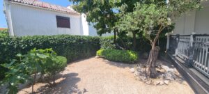 Primary image (AI selected)