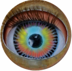 Primary image (AI selected)