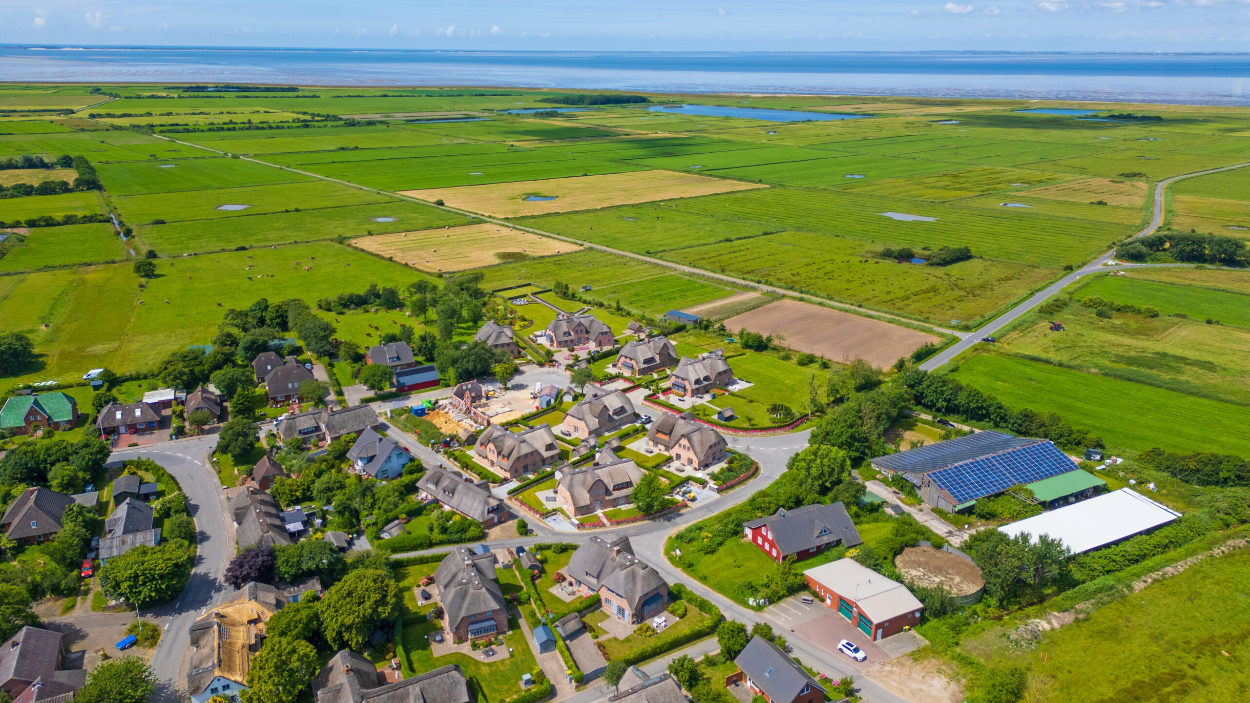 Ranck-Wellingerhoff Immobilien - 1