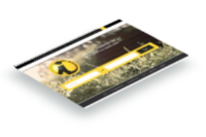 Primary image (AI selected)