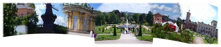 Primary image (AI selected)