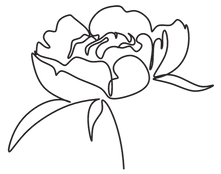 Primary image (AI selected)