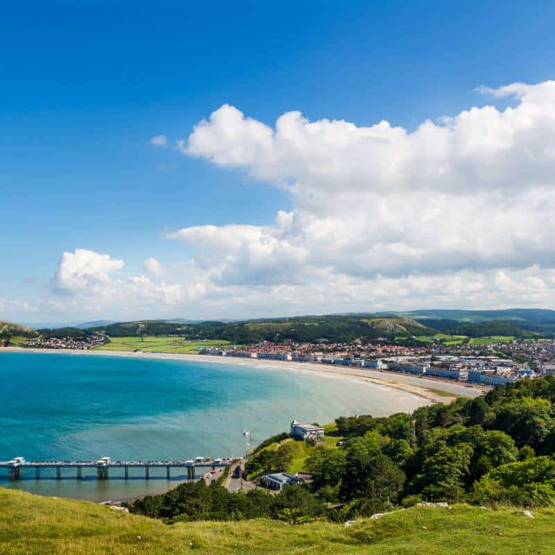 Tim Nutting - Taverham Estate Agent (The Agency UK) - 1