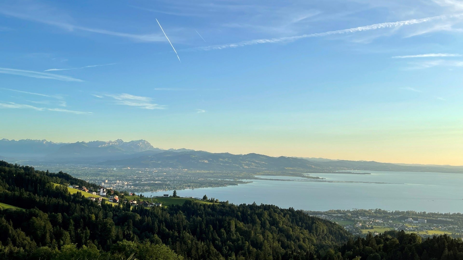 Wertz Immobilien GmbH - 1