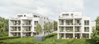 Primary image (AI selected)